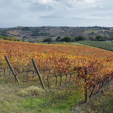 Agriturismo Al Rifugio Divino Belvedere Ostrense ภายนอก รูปภาพ