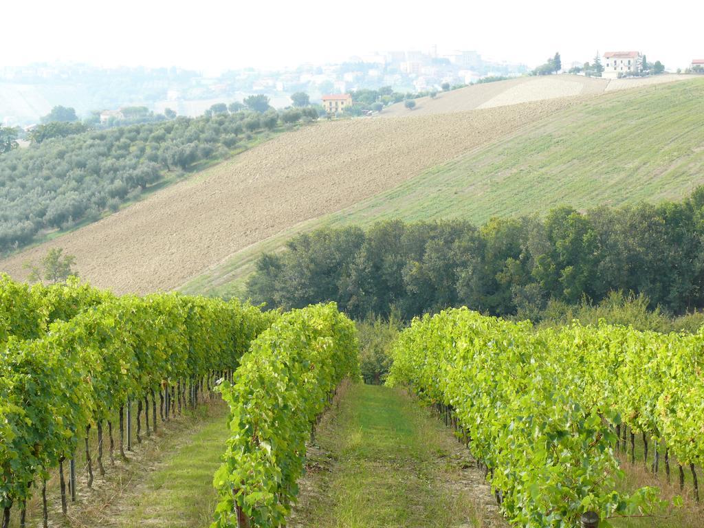 Agriturismo Al Rifugio Divino Belvedere Ostrense ภายนอก รูปภาพ