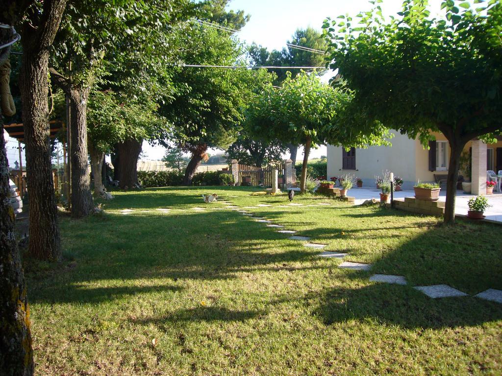 Agriturismo Al Rifugio Divino Belvedere Ostrense ภายนอก รูปภาพ